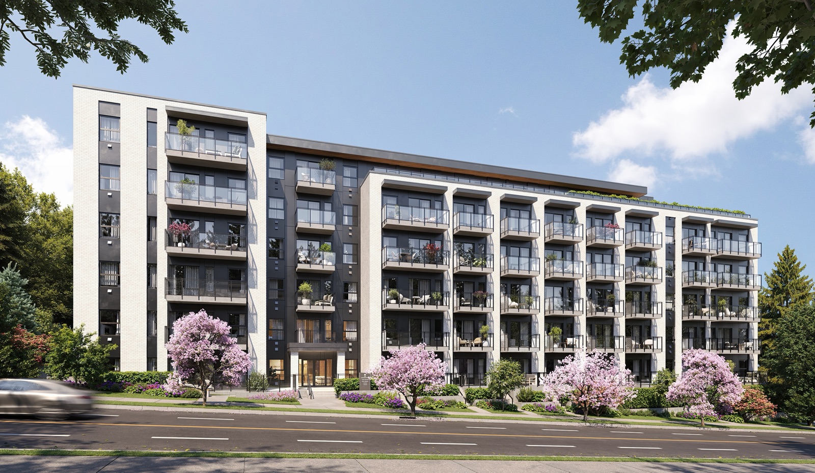 Boutique, Low-Density Living
